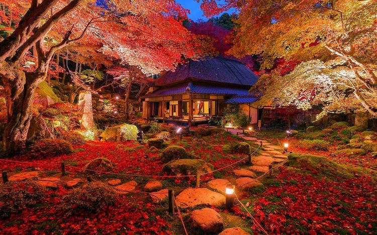 Kyorimbo Temple Moss Garden Autumn Leaves
