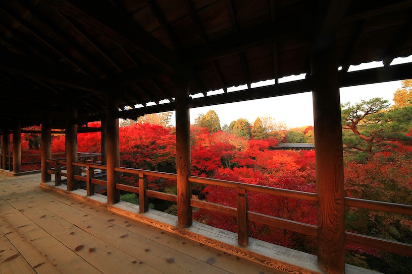 Tofukuji Temple Tsutenkyo Bridge Autumn Kyoto