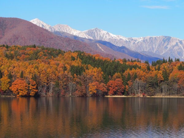 Lake Aoki Nagano Alpine Lake