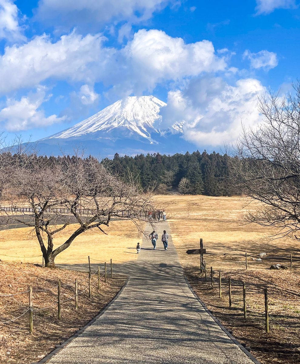 Asagiri Kogen Plateau Mt Fuji Shizuoka