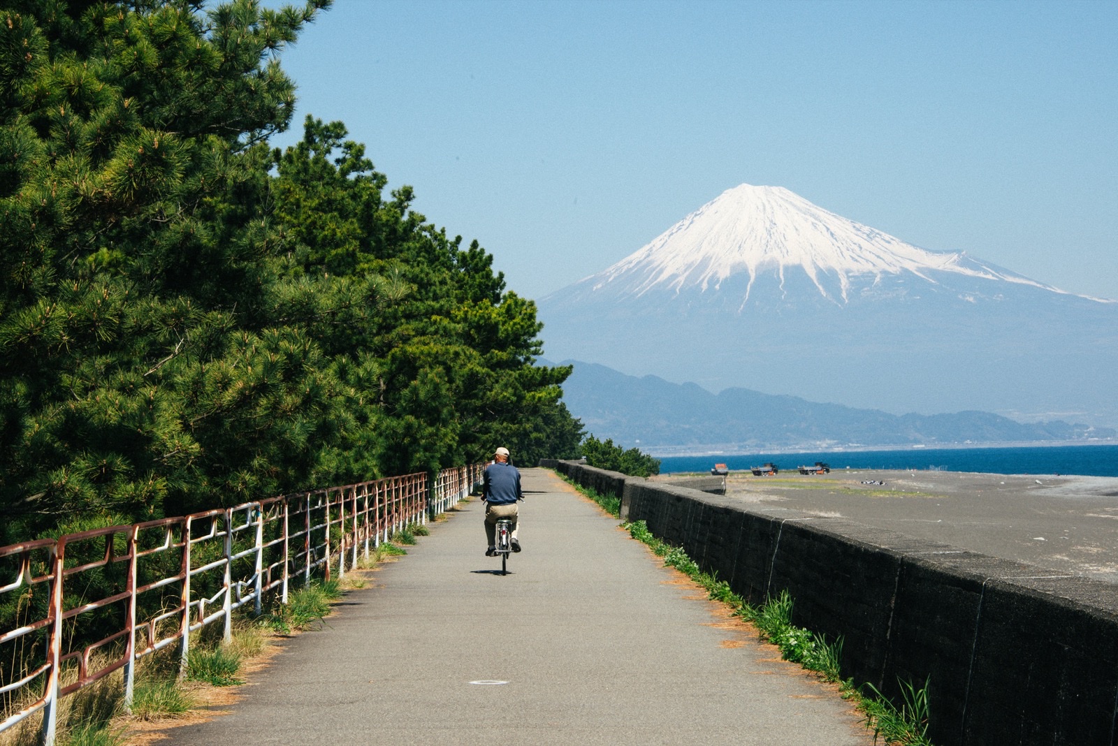 Miho no Matsubara Pine Grove and Mount Fuji
